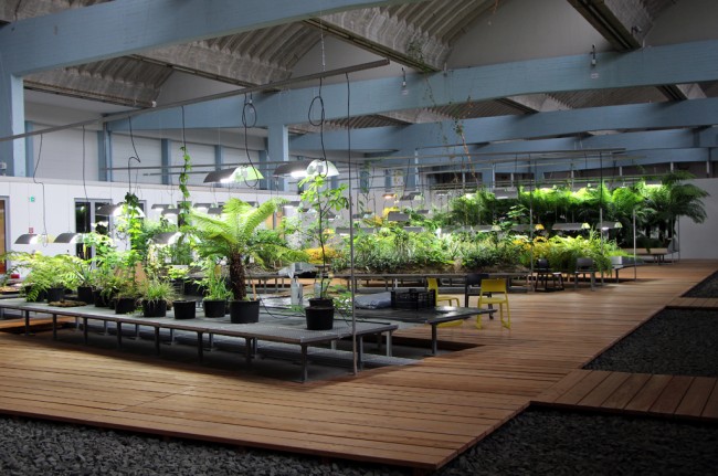 Diaspora-Garden-04-650x431