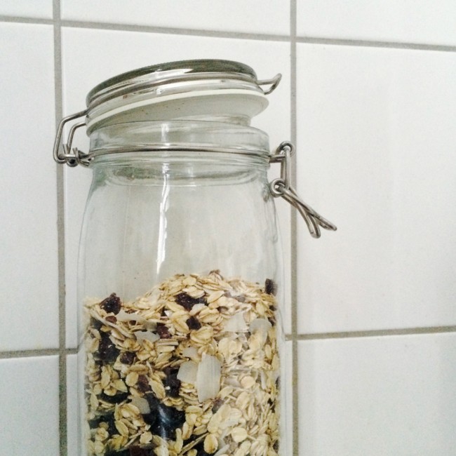 Cranberry and Coconut Muesli 01