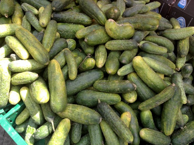 homemade pickled gherkins 00