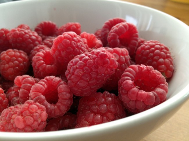 rote gruetze raspberries