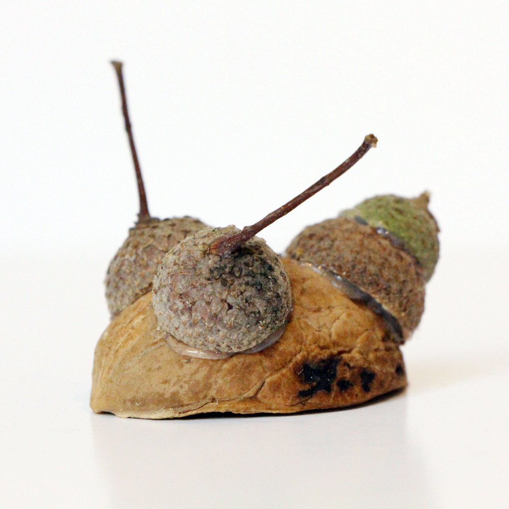 Поделки Из Чаги Фото – Telegraph