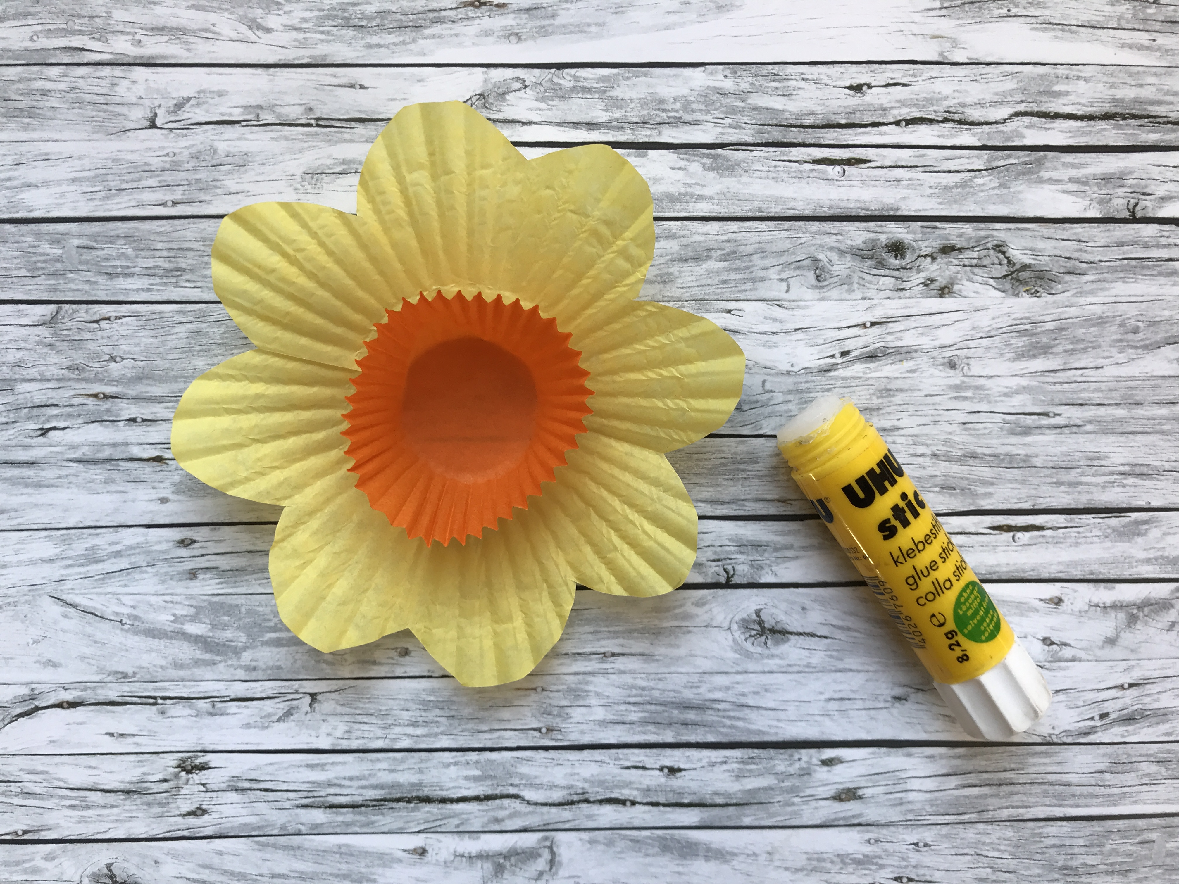 Cupcake Case Daffodils The Bear The Fox