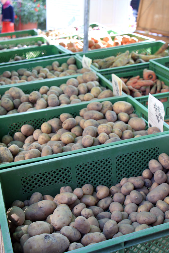 Potato Festival Domäne Dahlem Berlin