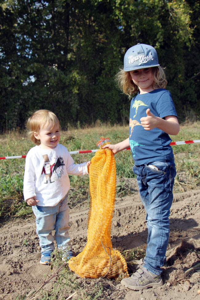 Potato Festival Domäne Dahlem Berlin