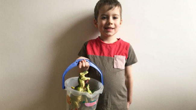 World Book Day Costume - Harry and the Bucketful of Dinosaurs