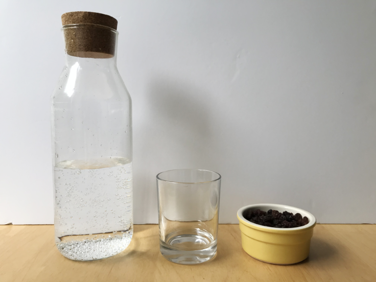 Dancing Raisins Experiment The Bear & The Fox