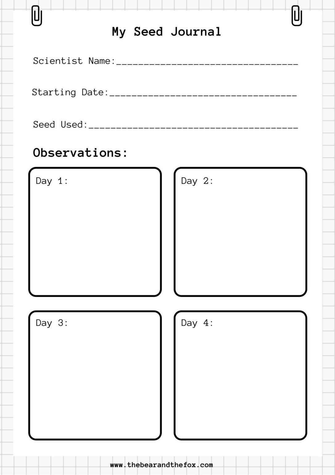 Seed Germination Experiment The Bear & The Fox