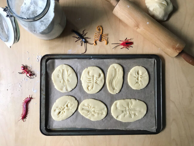 Fossil Cookies Recipe