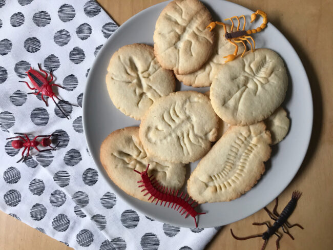 Fossil Cookies Recipe