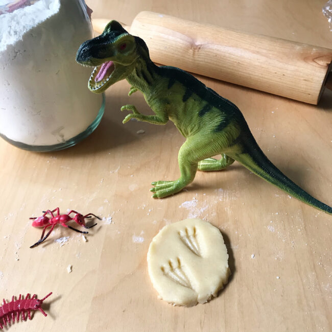 Fossil Cookies Recipe