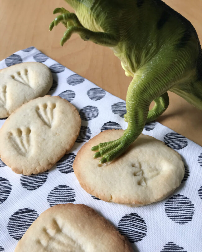 Fossil Cookies Recipe