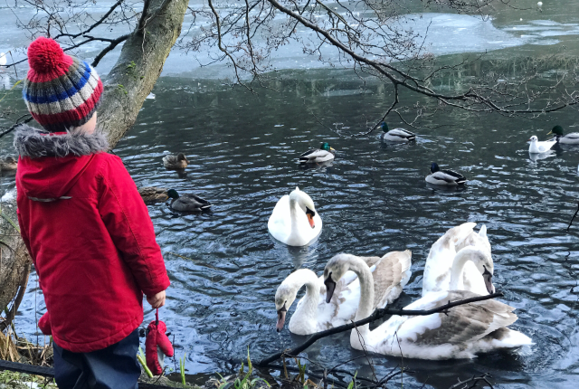 Edinburgh with Kids Blackford Pond