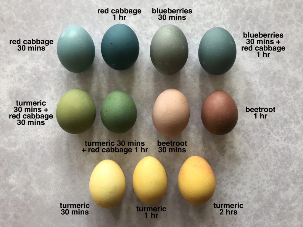 natural eggs dyes comparison