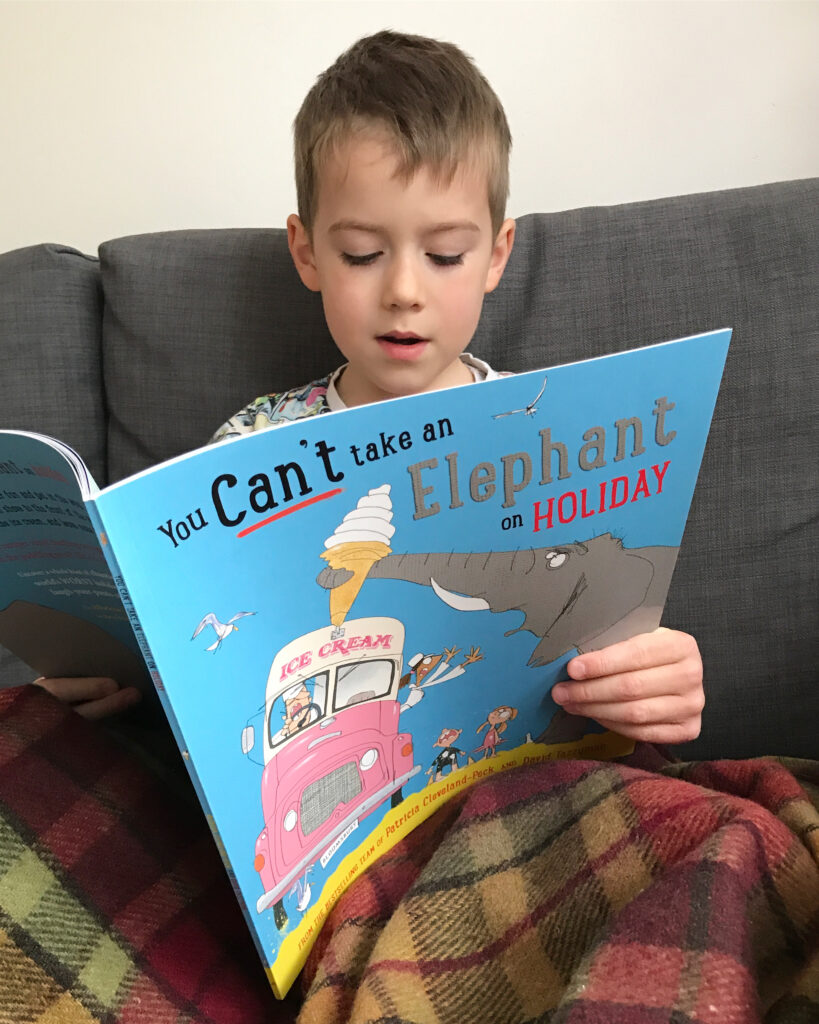 You Can't Take an Elephant on Holiday Picture Book