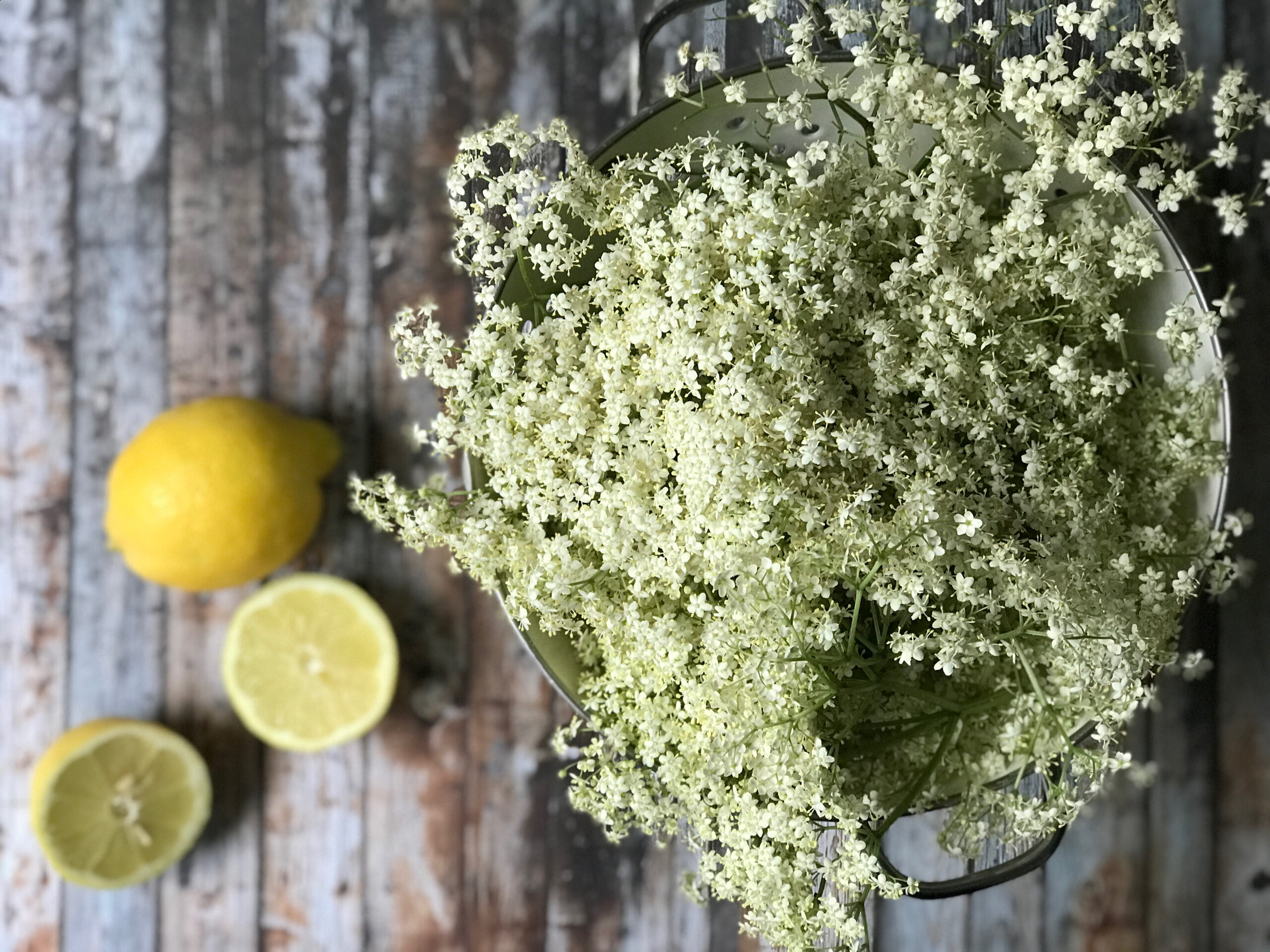 homemade elderflower cordial