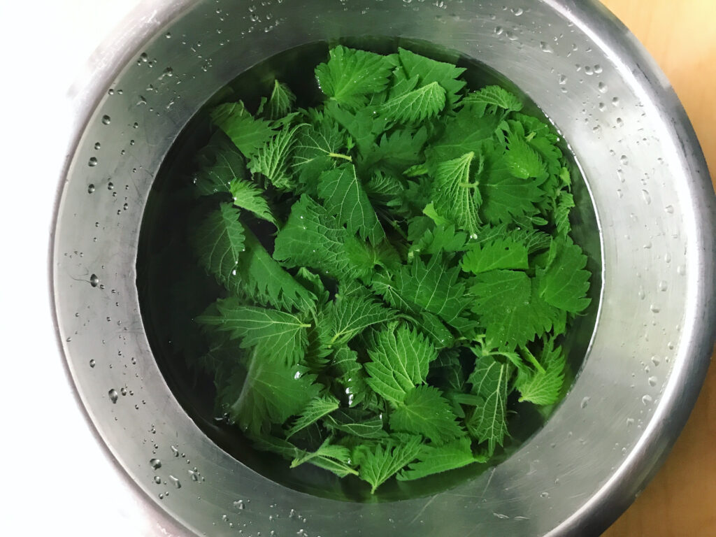 foraged nettle pesto