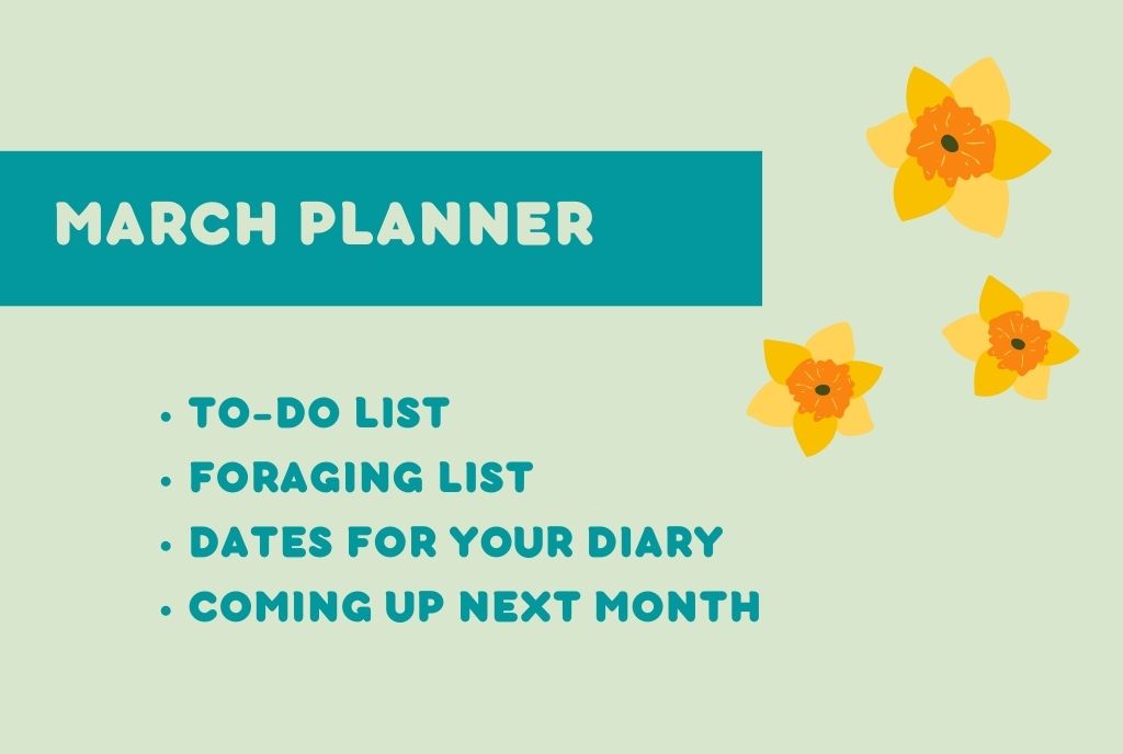 March Planner Free Printable