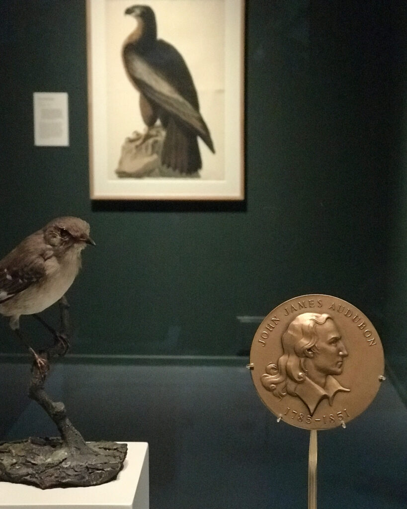 Audubon's Birds of America National Museums Scotland