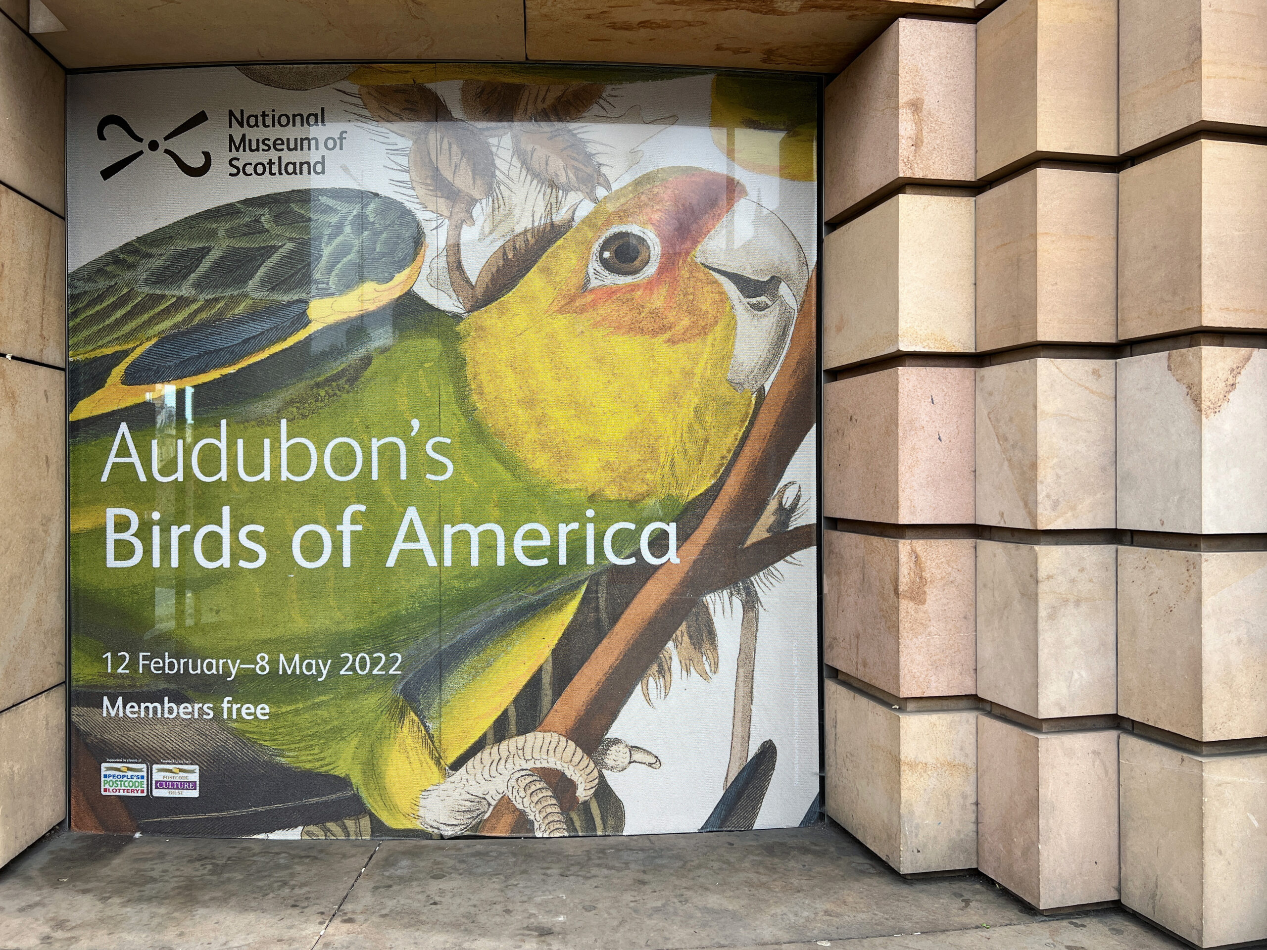 Audubon’s Birds of America – The Bear & The Fox