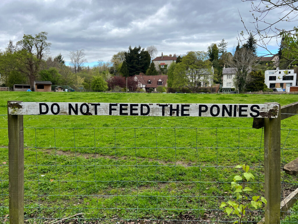 Do not feed the ponies sign