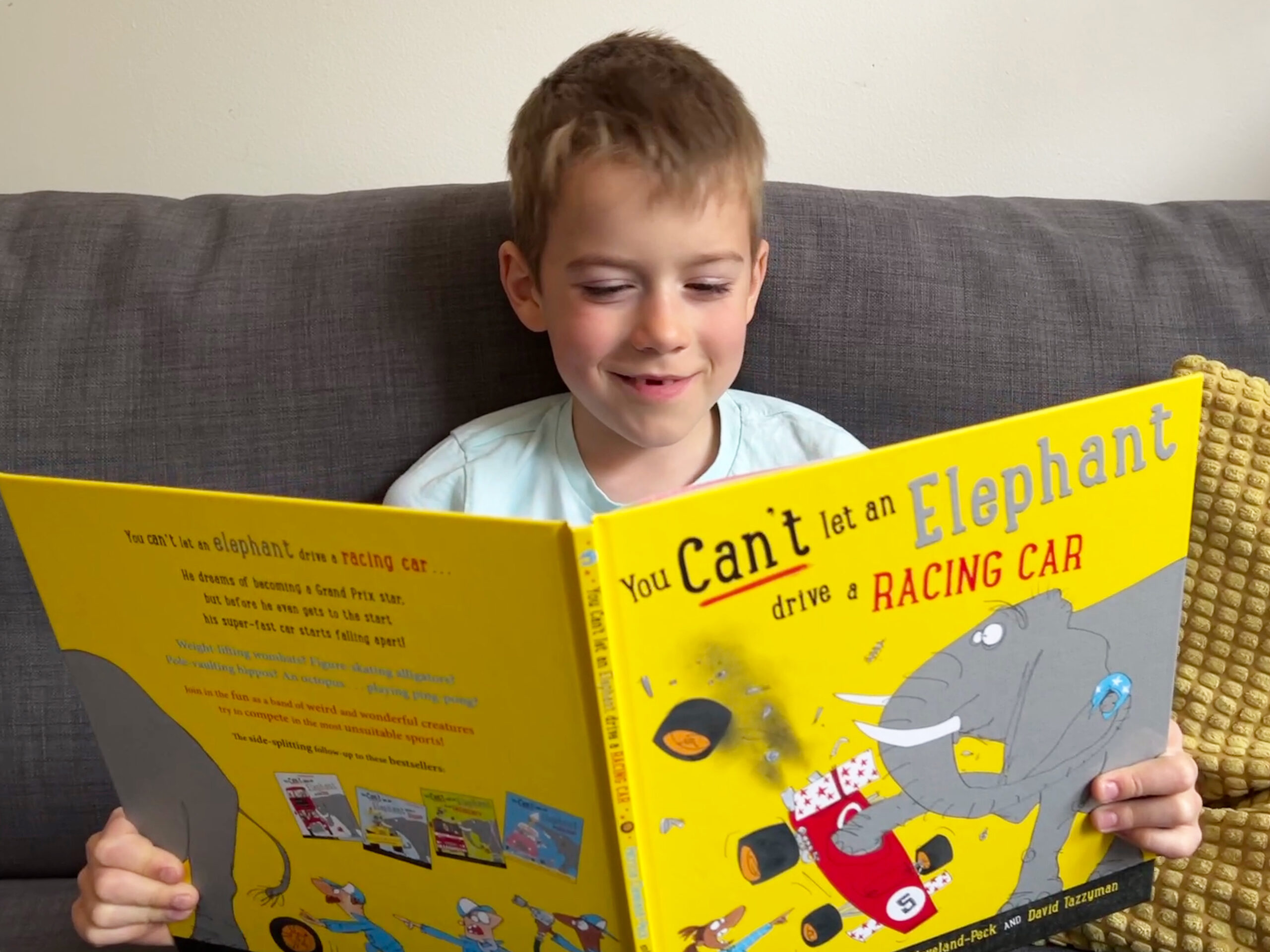 You can't let an elephant drive a racing car book