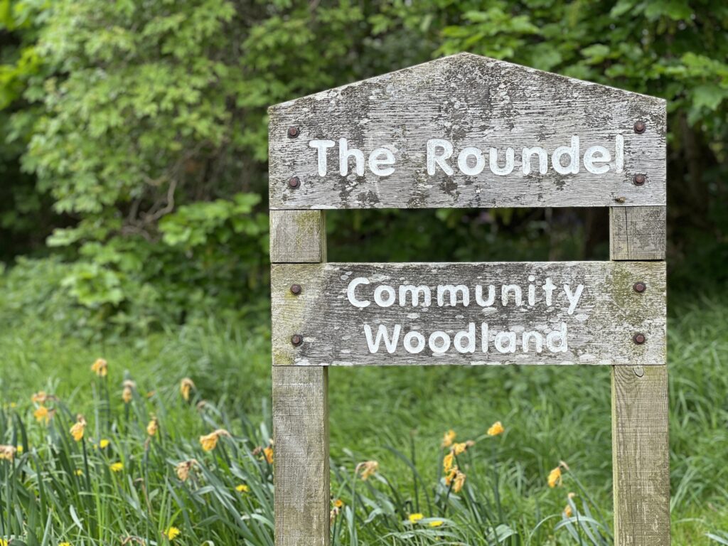 Buckstone Park Woods