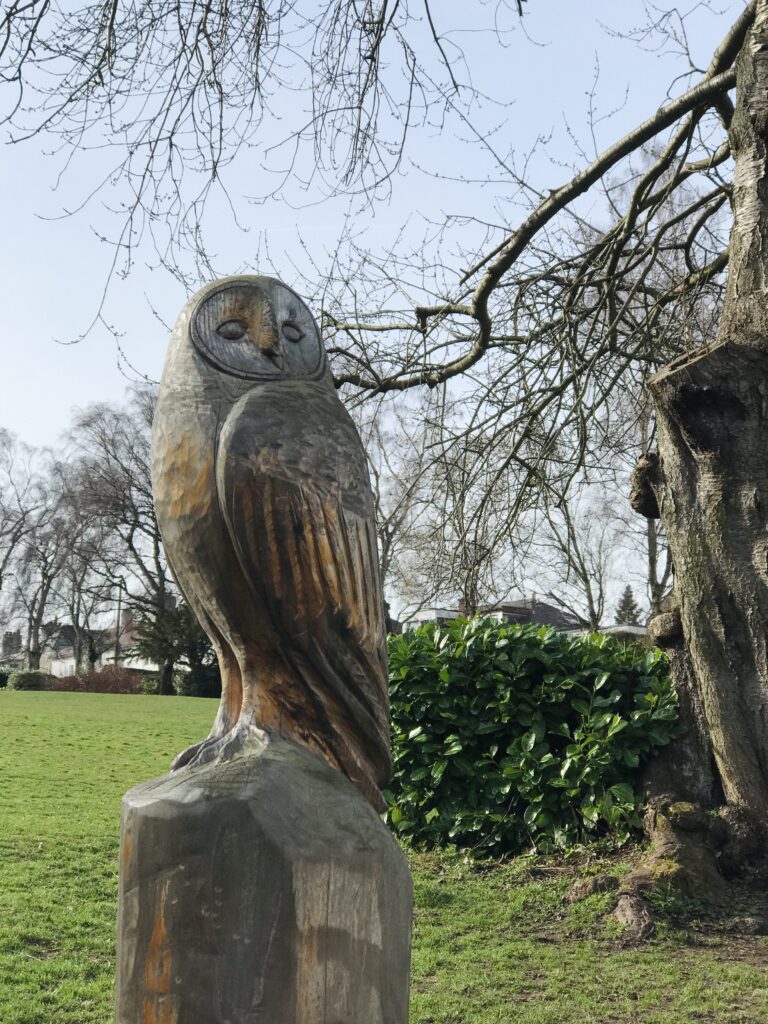 Morningside Park Edinburgh Owl Sculpture