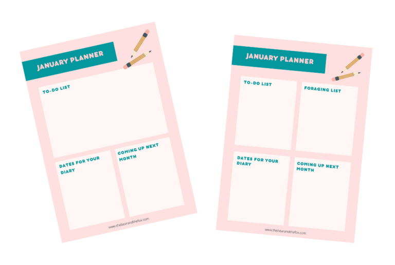 Planning for January