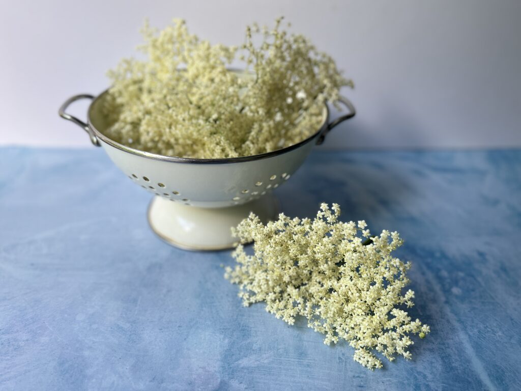 A colander full of elderflowers