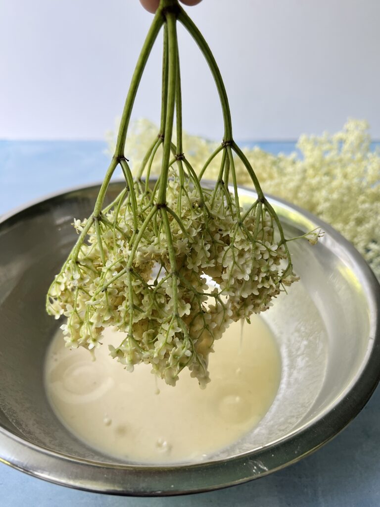 Elderflowers dipped in batter