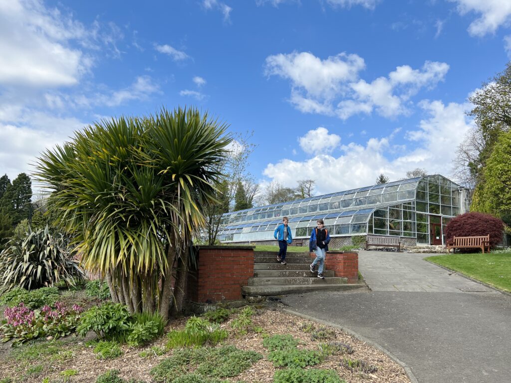 Pittencrieff Park glasshouse