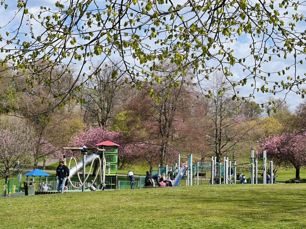 Pittencrieff Park Play Area