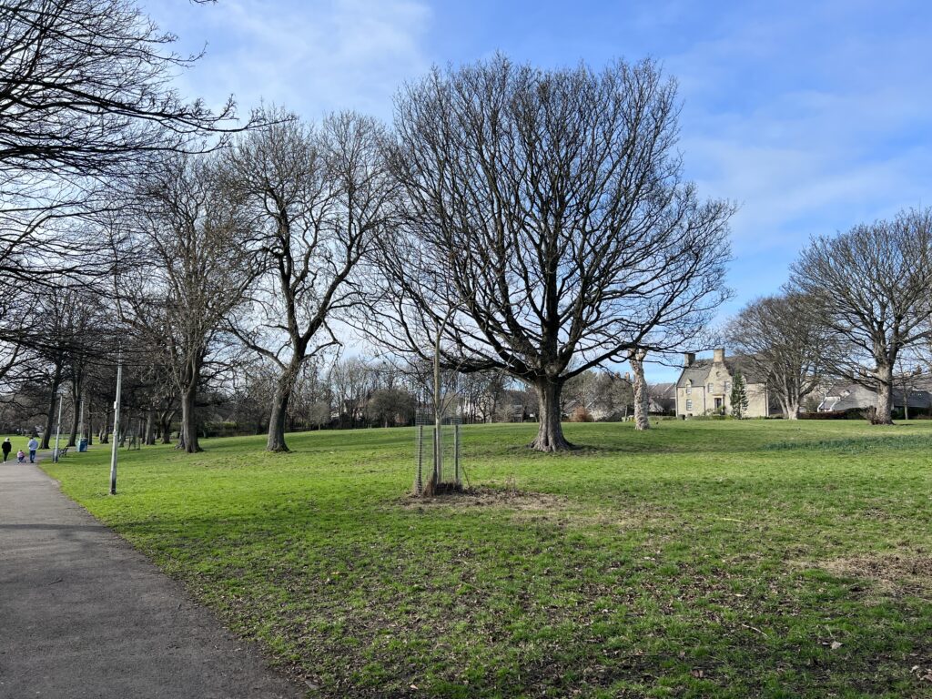 Pilrig Park