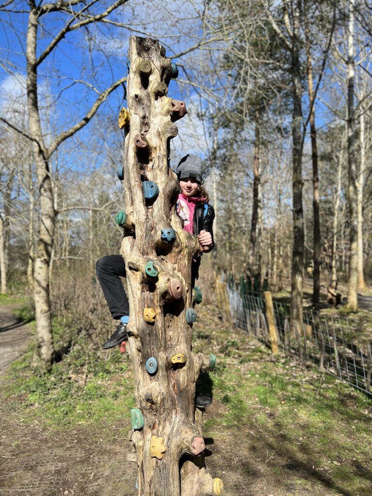Abbotsford House Witch Corner climbing tree