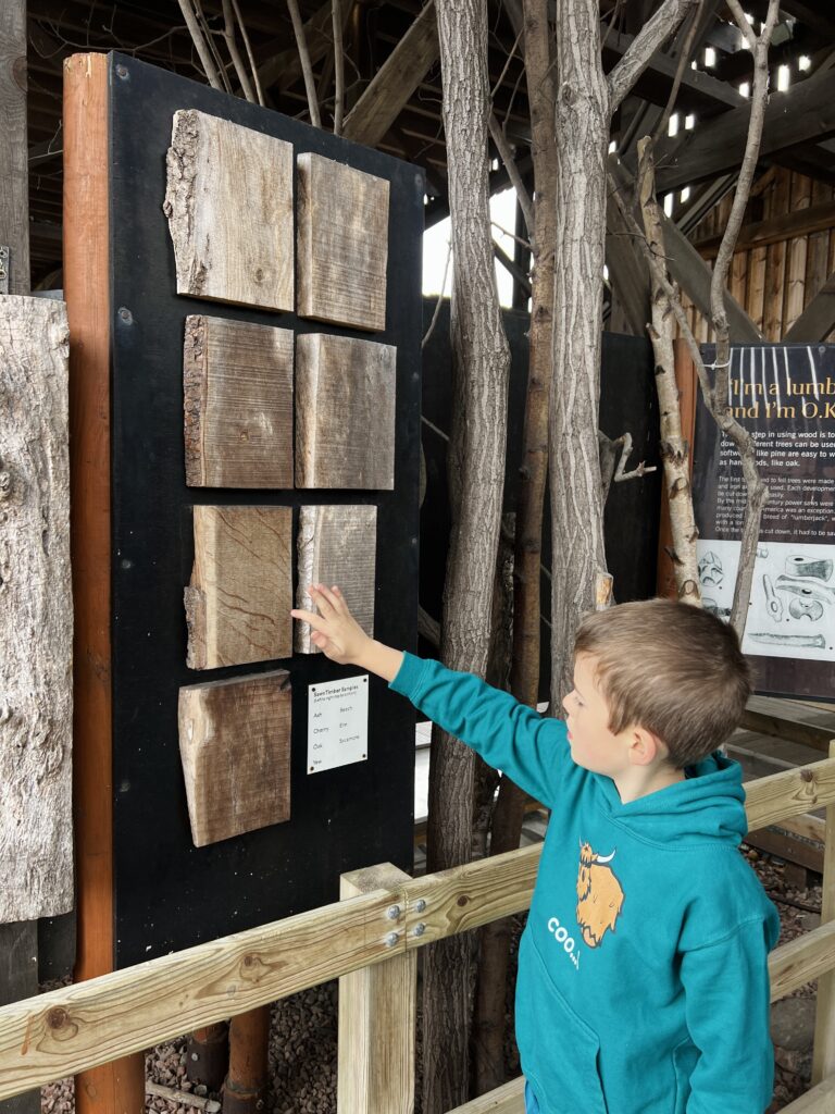 Summerlee Museum Timber Exhibit