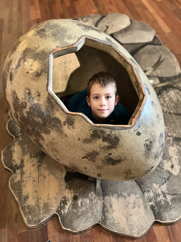 Kelvingrove Art Gallery and Museum dinosaur egg