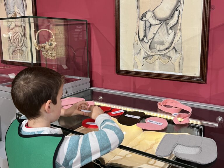 {Scotland} The Wardlaw Museum with Kids