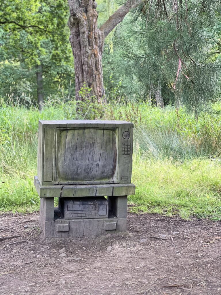 Callendar Park Play Trail TV sculpture