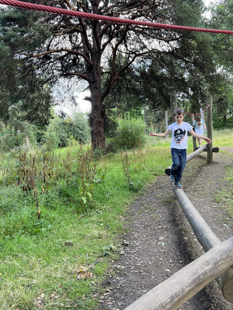 Callendar Park Play Trail balance beam