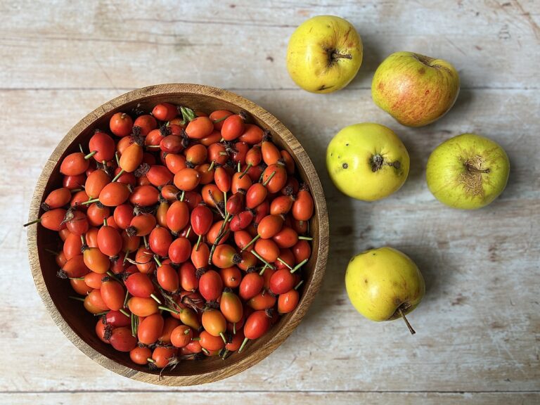 Foraged Apple & Rose Hip Jelly