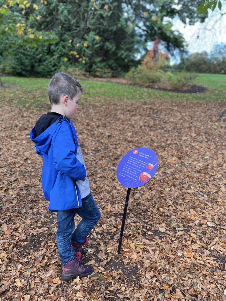 Edinburgh Botanics Halloween Trail