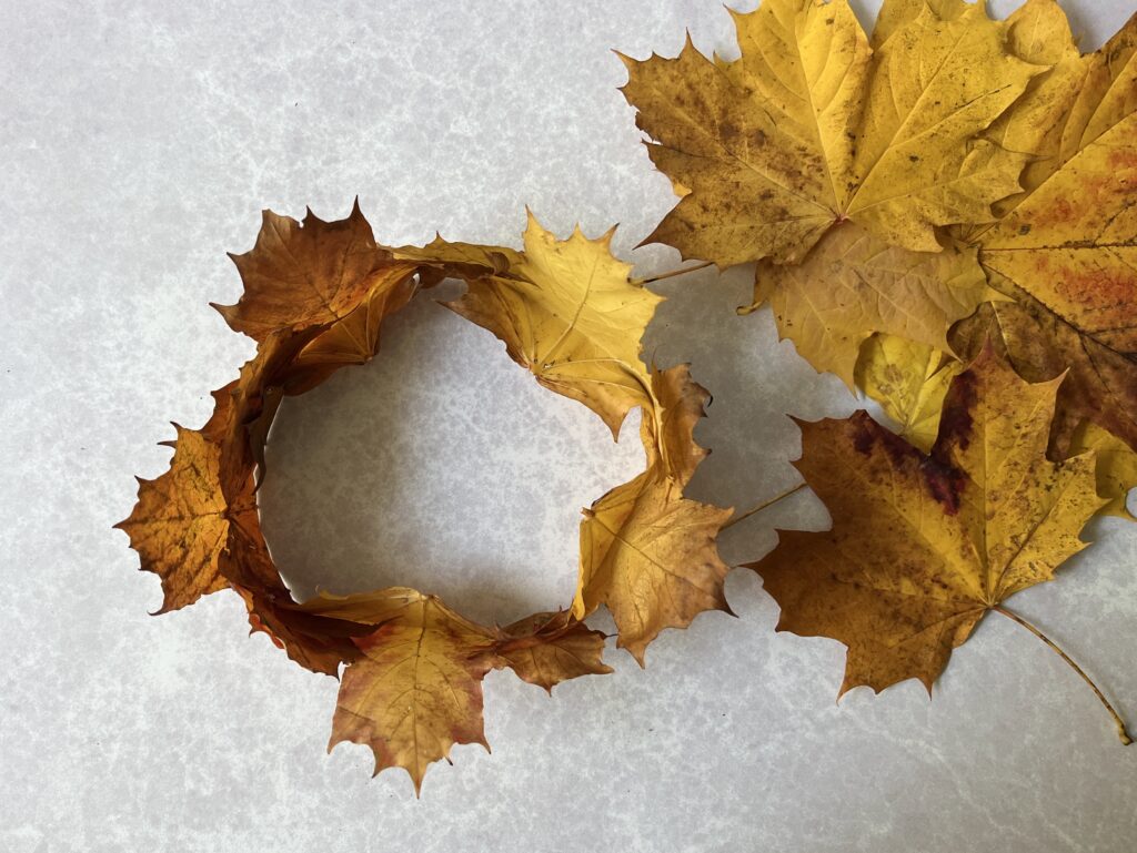 Autumn Leaf Crown from above