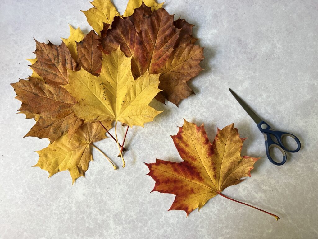 Leaves for an Autumn Leaf Crown