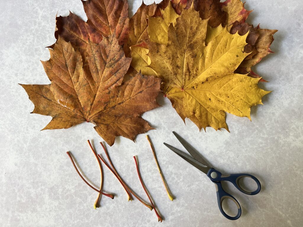 Autumn Leaf Crown Trimming Stems