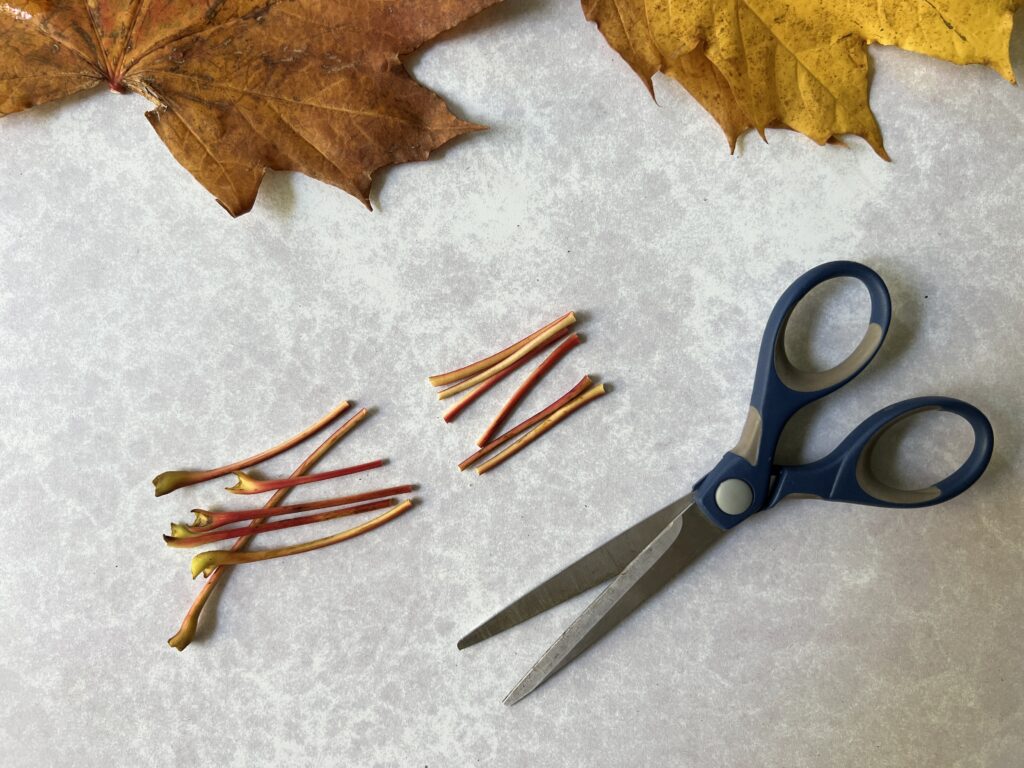 Autumn Leaf Crown Trimming Stems