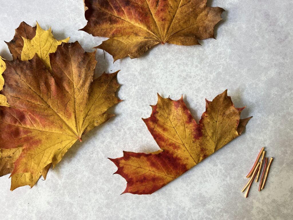 Autumn Leaf Crown Folding the Leaf