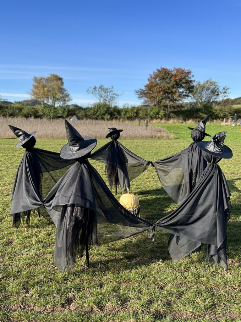 Kilduff Pumpkin Patch Witches