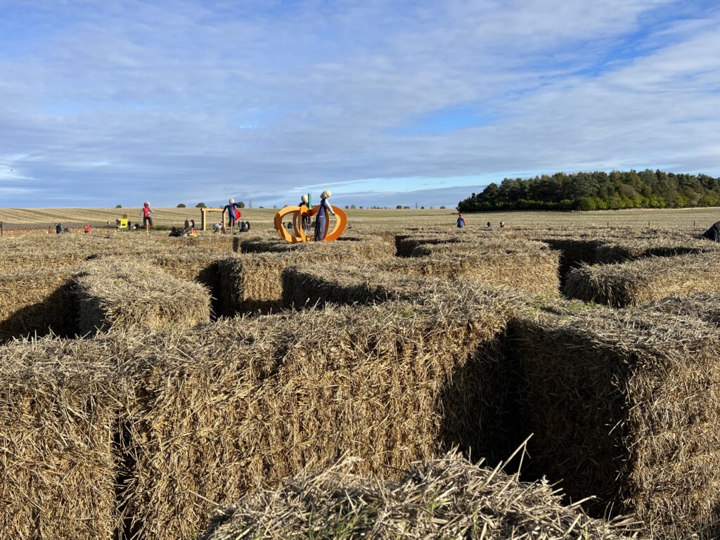 Kilduff Farm Hay Bale Maze