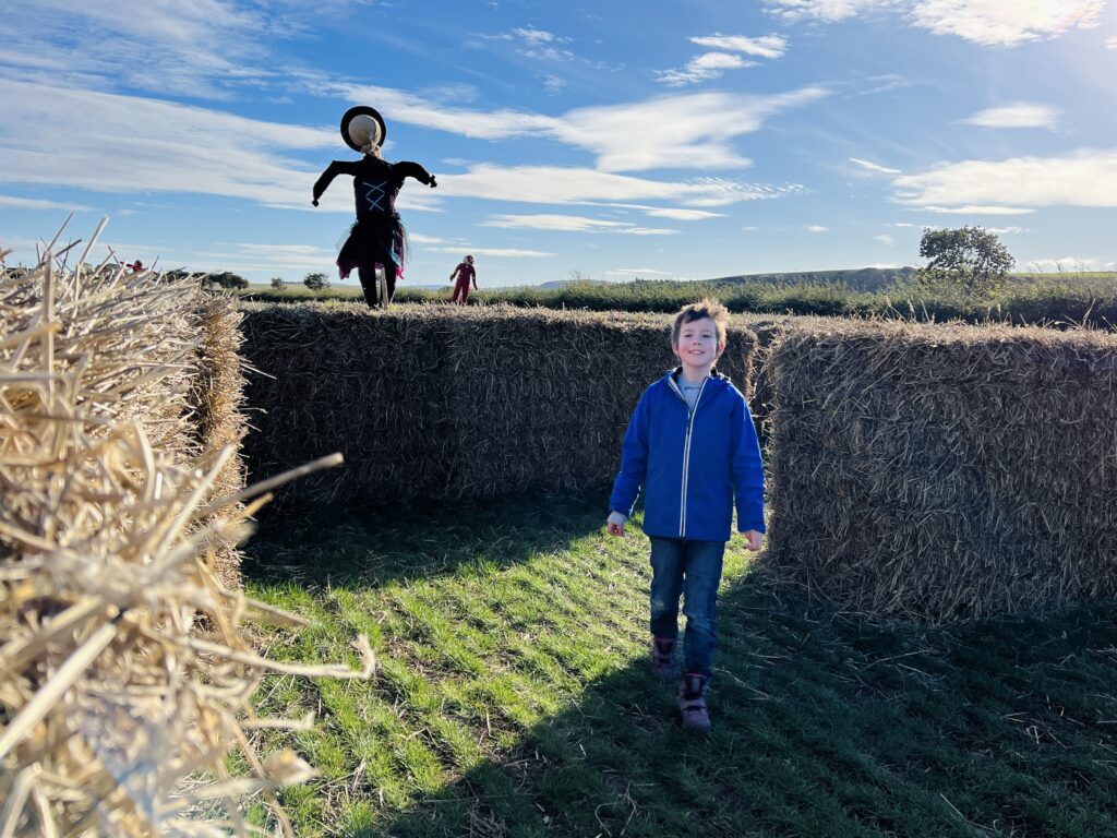 Kilduff Farm Hay Bale Maze