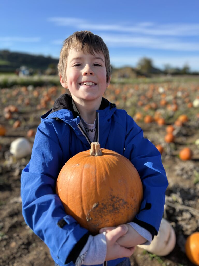 Kilduff Pumpkin Patch